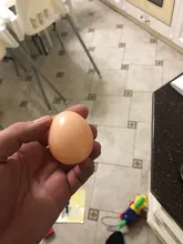 5pcs Plastic Fake Chicken Egg Simulation Poultry Layer Coop Hatching