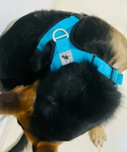 Puppy-Vest Harnesses Pet-Training-Product Reflective No-Pull-Mesh Dogs Adjustable 
