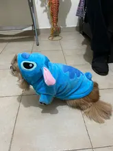 Jacket Hoodie Outfit Coat Animal-Costumes Pet Golden-Retriever Small Winter Large Medium