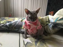 Rabbit Print Pet Cat Costume for Cats Soft Kedi Katten Sweatshirt Hoodie Spring Summer