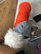 Hoodies Jacket Puppy French-Bulldog Small Dogs Waterproof Dog Chihuahua Winter Autumn