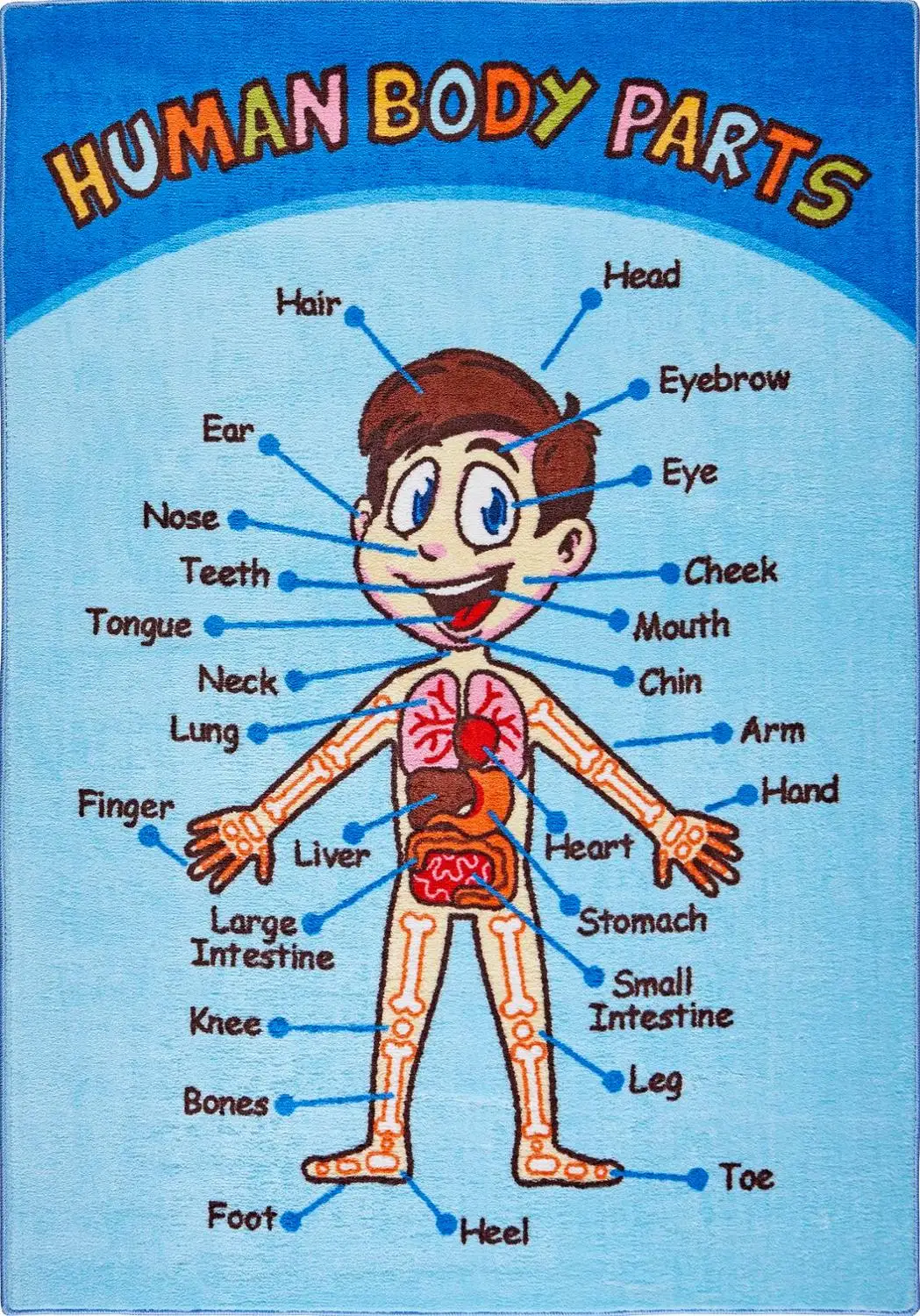Конфетти Анатомия анты-slыp детские коврики(синий)-200-290 см