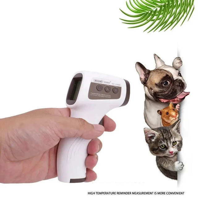 Thermometer Veterinary Equipment Electronic Body Product