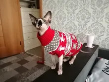 Fashion Pattern Clothes for Cats Cute Reindeer Sweater for Sphinx Cat Winter Warm Costume