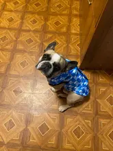 Ropa de invierno para mascotas ropa para perros, abrigo, chaqueta, traje para perros, chaleco para mascotas, ropa de Chihuahua, chaqueta, ropa para perros
