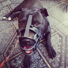 Bozal de silicona suave para perros pequeños, medianos, grandes y x-grandes, cesta transpirable, para mordeduras y ladridos