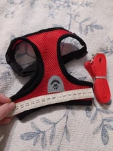 Cat-Harness Leash Mesh Bulldog Cats Small Dog Kitten Chihuahua French Breathable Nylon