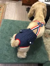 Panties Briefs Underwear Pet-Physiological-Pants Dog-Diaper Sanitary-Shorts Washable