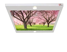 Fruit Flowers Suspended Chandelier with Customisable Picture 80x68CM Stretch Seiling