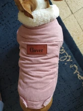 French Bulldog Small Dogs Pugs Winter For Chihuahua Outfit Pink Warm Clothing Roupa Pet-38s2