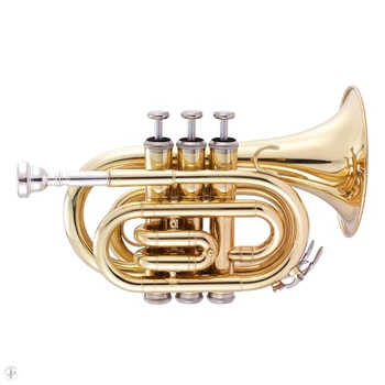 

Jp159l BB pipe compact, gold lacquer coating, John Packer