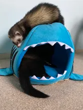 Bed Product-Items Dogs-Tent Dog-House Sleeping-Bag Shark Small Pet-Cushion Large Dropship