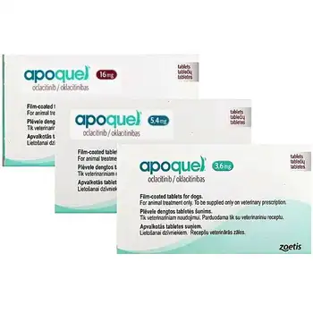 

APOQUEL FOR DOGS
