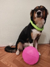 Pet-Ufo-Toys Rubber Interactive-Toy Trainning Flying-Discs Large Dog Small Puppy Fetch