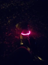 Dog-Collar Flashing Pet-Dog Glowing Night-Safety Rechargeable Luminous LED Usb