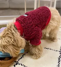 Ropa para perros de lana y Chihuahua, Ropa de invierno para mascotas pequeñas y medianas