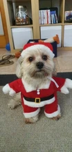 Christmas Pet Dog Cat Costumes Funny Santa Claus Costume For Dogs Cats Winter Warm Dog