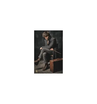 

POSTER FANTASTIC BEASTS THE CRIMES OF GRINDELWALD NEWT SCAMANDER