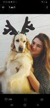 Hat Puppy-Festival-Accessories Party-Product Pet-Headband Hair-Hoop Dog Cat Cosplay Christmas