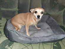 Cama para perro supersuave, perrera grande de algodón, alfombrilla para cachorros, manta impermeable para gato, nido de gato Kawaii de talla grande, accesorios para mascotas