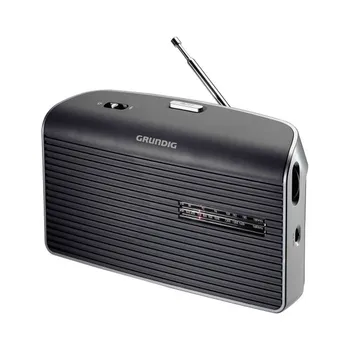 

Grundig music 60 Gray am/fm laptop desktop with speaker