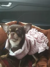 Warm Pet Dog Dress Vest Jacket For Dogs Cats Winter Chihuahua Yorkies Clothes Maltese