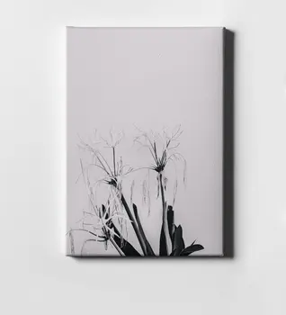 

Modern Art Canvas Print (50x70 cm.) 13