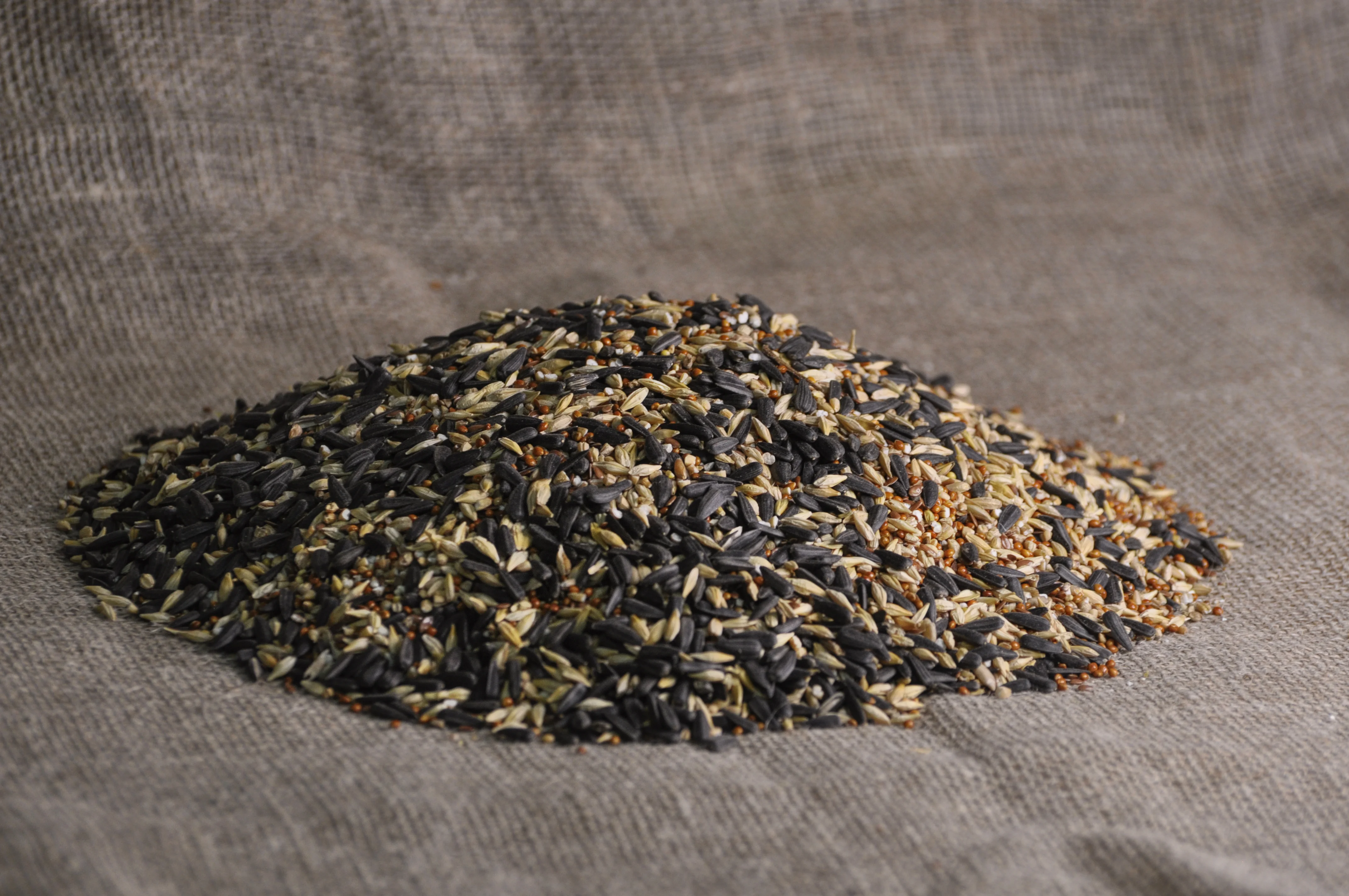 Корм Для Лесных Певчих Птиц Купить