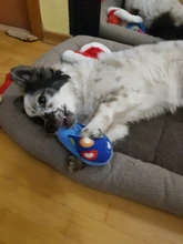 Pet-Supplies Dog-Toys Puppy-Training-Toy Banana Dog Chew Soft Carrot Bite-Resistant Vegetable