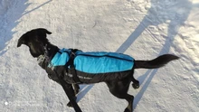 Vest Jacket Dogs-Harness Dog Coat Reflective Waterproof Outfit Large Thick with Fur-Collar