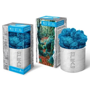 

Gift Set artcoolpresent "Moss ягель"