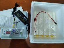 Incubadora de huevos de 220V, incubadora de codornices para aves de corral, herramientas de incubación automática