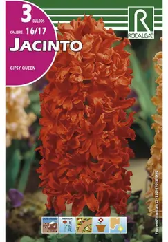 

Flower bulbs Hyacinth GIPSY QUEEN-orange autumn bulbs