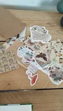 30 unids/set Vintage Scrapbooking Diy Paquete de pegatinas Retro decorativa Natural colección diario Washi etiqueta engomada de papel de arte