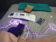 Diode-Tape Power-Adapter Led-Strip-Light Led Ribbon Bluetooth-Controller 5050 2835 Home