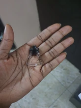 Tapones de oídos para natación, funda de Clip para la nariz, protección contra el agua, 2 uds.