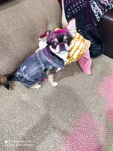 Ropa vaquera de XS-2XL para perro, abrigo para perros, ropa de cachorro, pantalones vaqueros para perro, chaqueta, chaleco abrigo para perro, trajes para cachorro, ropa para gato