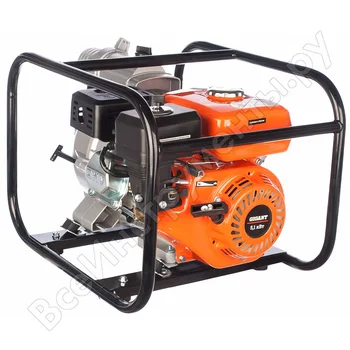 

Motor Pump dirty water Gigant gtp-80