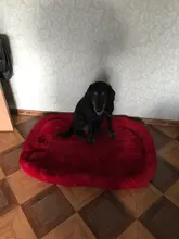 Dog-Beds Cage Lounger Pet-House-Cushion Dogs-Mat Bench-Medium Golden Retriever Large