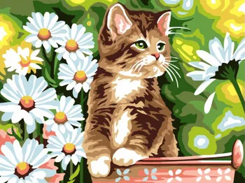 

Painting by Numbers ex 6091 kitten in a bucket 30*40
