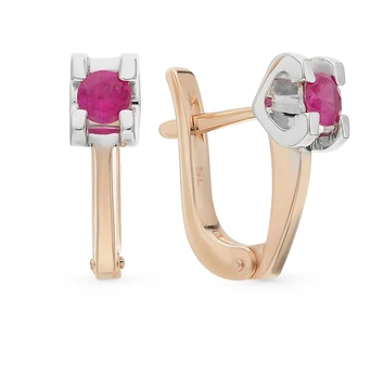 

Gold earrings with rubies sunlight sample 585 test