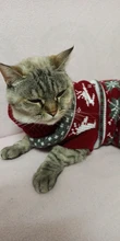 Antumn-ropa de invierno para gatos abrigo de suéter Katten para perros, disfraz de gato para perros pequeños, Chihuahua, Pugs, Bulldog francés