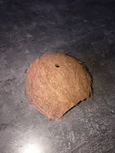 Nest Hamster-House Hiding-Cage Coconut-Shell Small Animal Reptiles Cave Spider Natural