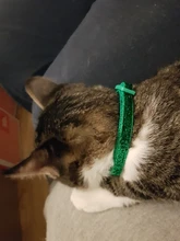 Colgante de campana de lentejuelas de nailon de colores collar ajustable para perro y gato, collar para cachorro y gatito con hebilla, accesorios para gatos, suministros para mascotas, 1 ud.