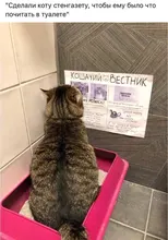 Beamer Projector Smartphone Video-Laser Byintek K20 Android Home Theater Full-Hd 4K LED