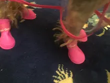 Zapatos para mascota de perro de lluvia, 4 unidades/lote S/M/L, botines de goma antideslizantes, impermeables, para perros y gatos