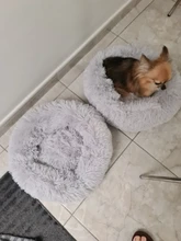 Cama de Gato supersuave, 14 colores, redonda, mullidas de gato, cesta para dormir, larga felpa, cálida, alfombrilla para mascotas, perrera ligera de tacto cómodo