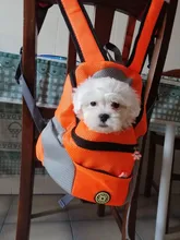 Mochila De viaje portátil plegable con doble hombro para mascotas, bolsa de transporte frontal de malla para perros y gatos