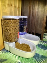 3.8L Pet Cat Automatic Feeders Large Capacity Cat Water Fountain Plastic Dog Water Bottle