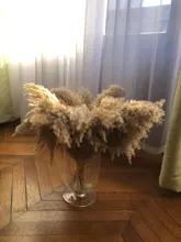 Pampas-Grass Reed Flower Wedding-Decoration Bunch Light-Color Natural Dried Christmas